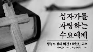 생명수 강의 비전 | 겔47:1~12 | 박현신 교수 | 새순교회 십자수 설교 | 22.3.30