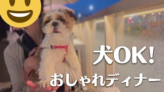 犬と一緒でもOKのおしゃれなレストラン\u0026こもぎのごはん色々【シーズーこもぎ】