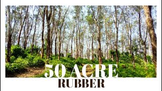 50 ACRE RUBBER SALE IN PALAKKAD I 24 KERALA PROPERTIES I 178 th VIDEO