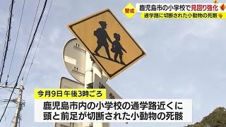 小動物の死骸が発見された通学路近くの小学校　登下校の見回りを強化　鹿児島市