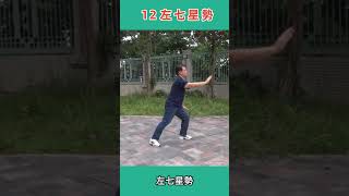 太極傳承方拳11-13式 Tai Chi Square Form 11-13 Styles