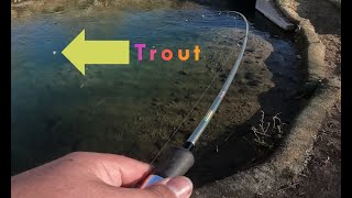 Trout Fishing w/Jigs Only Challenge!!! (Unexpected Results)