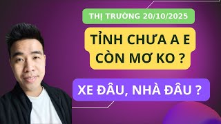 Chứng khoán hôm nay | Nhận định thị trường : Cứ ngày 20/10 là lái lại cầm hoa hồng gai quất vào đít