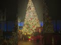 celebration christmas at the taj mumbai travel ytshorts shorts christmasgetaway usholidays