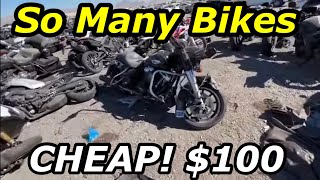 Copart Walk Around, Motorcycles, Many Cheap Harley Davidsons