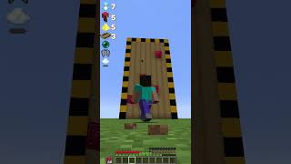 Which Item is the Best for Placing Heights? #minecraft #shorts #meme