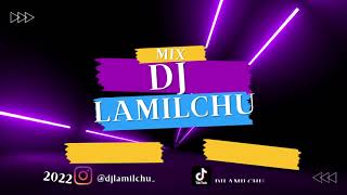 REGGAETON NUEVO Y OLD SCHOOL MIX - DJ LAMILCHU (BABY RASTA, WISO G, IVY QUEEN, DADDY YANKEE Y MAS )