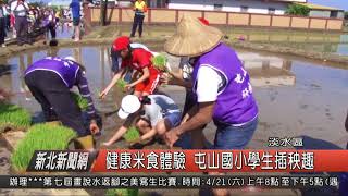 1070330新北新聞網06 淡水區健康米食體驗 屯山國小學生插秧趣