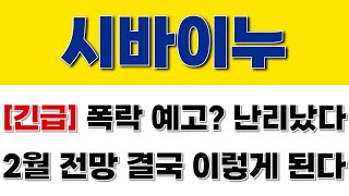 [시바이누] 긴급 폭락 예고? 난리났다!! 2월 전망 결국 이렇게 됩니다