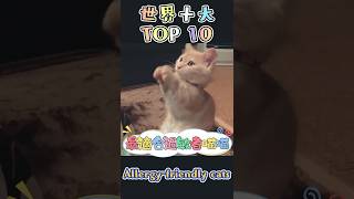 《世界十大最適合過敏者飼養的喵喵》Top 10 Best Cats for People with Allergies in the world #shorts #short #ai