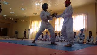 کاراتی تایکواندو لە سەنتەری لاوانی قوشتەپە  karate from qushtapa youthcenter