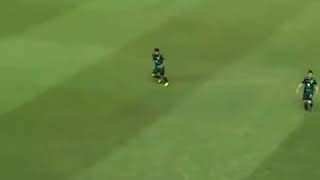 Palmeiras, Abel Ferreira correndo! rsrs