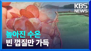 폭염에 바다도 ‘펄펄’…양식어민도 비상 / KBS  2023.08.06.