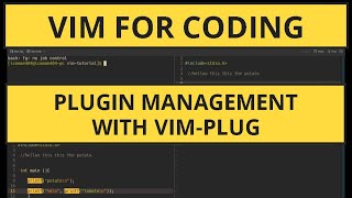 Mastering Vim: Plugin Management with Vim-Plug A Comprehensive Tutorial