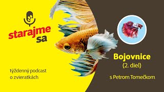 Starajme sa | Akvaristika: Bojovnice 2.časť