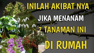 INILAH AKIBAT  NYA ! Jika Menanam 7 Tanaman Ini Di Halaman Rumah | Menurut Islam