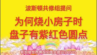 卢台长开示：为何烧小房子时盘子有紫红色圆点；新加坡世界佛友见面会提问190509