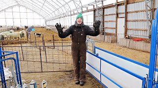 She always makes me smile. (FROZEN WATER, WEIGHING LAMBS \u0026 THE END OF BREEDING SEASON SORT) Vlog 412