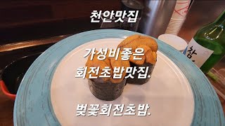 천안맛집/가성비좋은 회전초밥/저렴한 가격에 최고의 퀄리티/벚꽃회전초밥