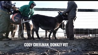 Cody Creelman, Donkey Vet #VLOG132