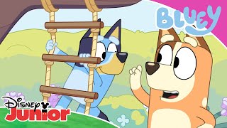 💙  Dem bästa ögonblicken | Bluey | Disney Junior Sverige