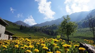 monte alben - monte croce da cornalba  25/05/2018