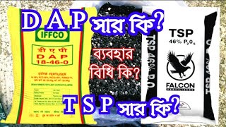 D A P fertilizer vs TSP fertilizer, dap সার কি, tsp সার কি, কোন কোন গাছে দেব, শক্তিশালী কোনটি,