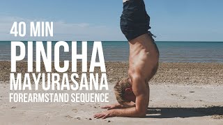 Exploring Forearmstand / Pincha Mayurasana (40 min) | Yoga for Energy