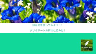 除草剤を使ってみよう！：グリホサート分解の仕組みは？