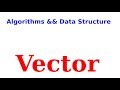 Java Collection - Vector