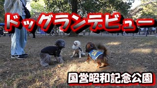 ドッグランデビュー【国営昭和記念公園】＃048　おまけ映像あり