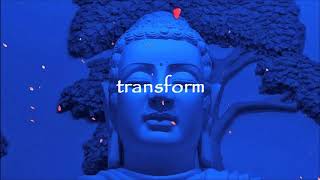 Buddhist Meditation for Beginners 20 Minutes