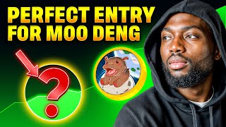 Could Moo Deng Still Make You a Millionaire? The Perfect Entry!