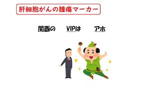 【1日1分/医療系学生必見】肝細胞がんの腫瘍マーカーはゴロでサクッと覚えましょう！