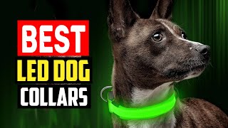 ✅ Top 5 Best LED Dog Collars in 2023
