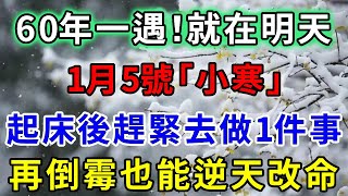 60年一次，就在明天！1月5號「小寒」，起床後趕緊去做1件事，再倒霉也能逆天改命！｜禪音佛語#生肖 #運勢 #風水 #財運#命理#佛教 #人生感悟