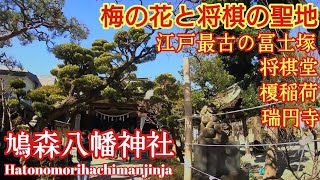 東京 都内最強パワースポット『鳩森八幡神社』梅の隠れた名所 旧別当寺 瑞円寺【音声ガイド】