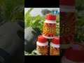 swaroopagro swaroopfarm g5 swaurja biostimulant agro floweringbooster organicfarming