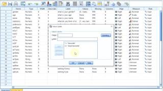 S01E04-1-2c SPSS Basics - Entering ranking and pick from questions