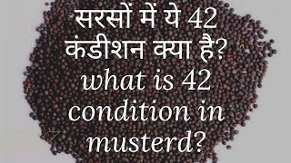 सरसों में 42 कंडीशन क्या है?What is 42 condition in mustard?