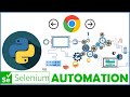 SELENIUM PYTHON FOR WEB AUTOMATION TEST AUTOMATION HOW TO USE BACK AND FORWARD BROWSER BUTTONS