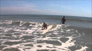 SOLID SURF CAMP WEEK 4