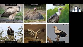 The African Vulture Crisis VABF 2021