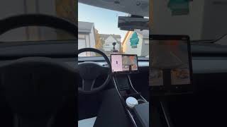 Tesla FSD supervised trial parking