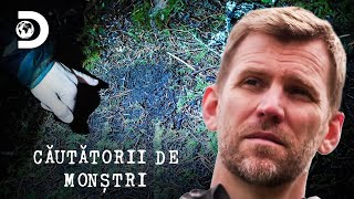 Am găsit o urmă! | Căutătorii de monștri