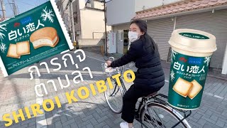 ตามล่าหาขนมที่ขาดตลาดในญี่ปุ่นตอนนี้ | Shiroi Koibito กระเเสดังที่ฉุดไม่อยู่