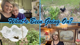 I’m Back! Thrift Haul, Granny Visit, Buster & A Life Update! #dayinthelife #thrifthaul