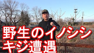 【野生の猪や雉？】福島第一原発近く！双葉町、大熊町の帰還困難区域！国道6号線、東日本大震災から10年Driving around Fukushima 1st Primary in Japan