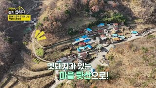 멧돼지 흔적 찾기에 나선 멧돼지 원정대 [박원숙의 같이 삽시다 2021] | KBS 250123 방송