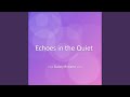 Echoes in the Quiet